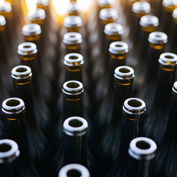Bouteilles de vin rangées dans un casier, montrant la collection de vins du domaine