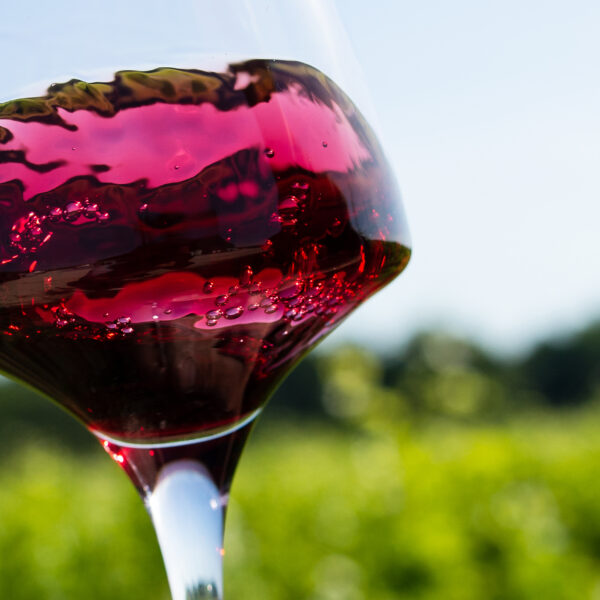 Verre de vin rouge de Touraine Oisly, avec des vignes de Sauvignon et autres cépages rares en arrière-plan, représentant le terroir de la Loire Valley