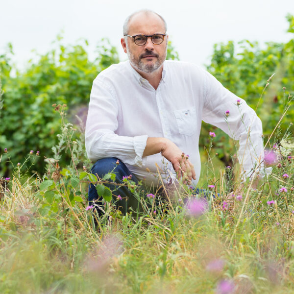 Portait de Lionel Gosseaume, vigneron de Touraine Oisly inspectant les vignes de Sauvignon et cépages oubliés, représentant la culture du Vin de Loire et du French White Wine.